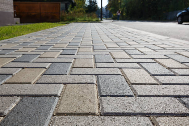 Best Driveway Pavers Near Me  in Madelia, MN