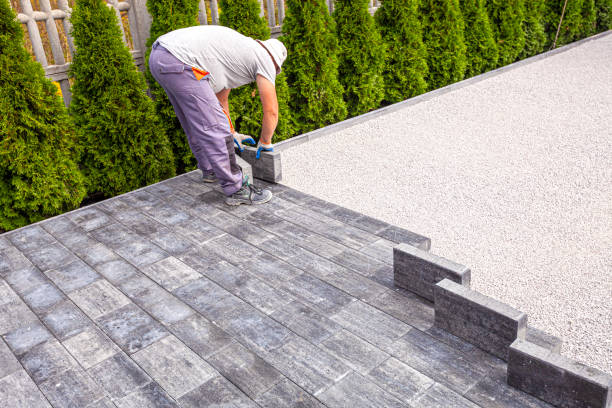 Best Residential Paver Driveway  in Madelia, MN