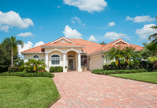 Best Driveway Paving Contractor  in Madelia, MN