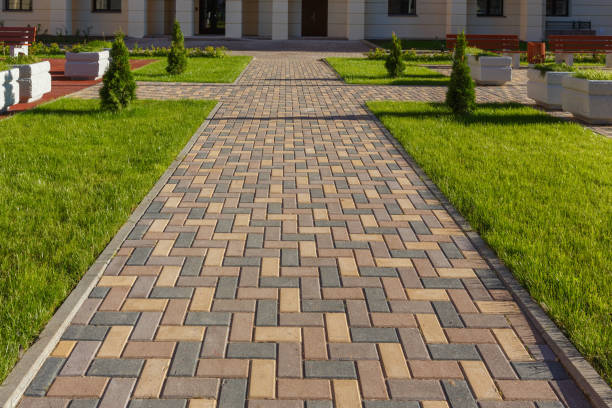 Best Professional Driveway Pavers  in Madelia, MN