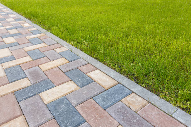 Best Driveway Pavers Near Me  in Madelia, MN